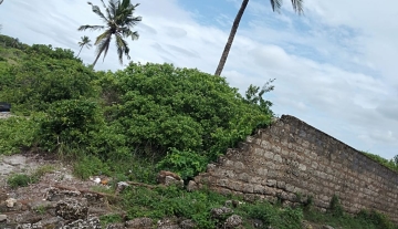 WhatsApp Image 2022-05-05 at 4.09.02 PM.jpeg